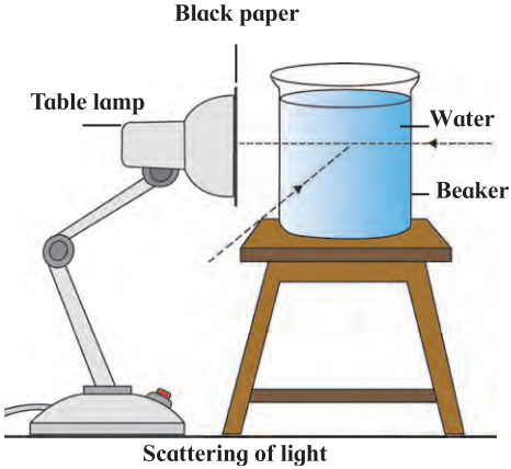 Maharashtra-Board-Class-7-Science-Solutions-Chapter-17-Effects-of-Light-5