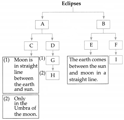 Maharashtra-Board-Class-7-Science-Solutions-Chapter-17-Effects-of-Light-6