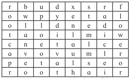 Maharashtra-Board-Class-7-Science-Solutions-Chapter-2-Plants-Structure-and-Function-3