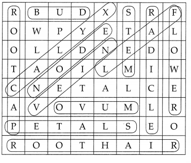 Maharashtra-Board-Class-7-Science-Solutions-Chapter-2-Plants-Structure-and-Function-4