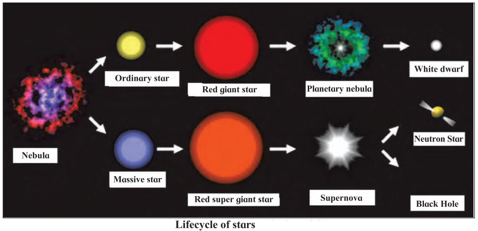 Maharashtra-Board-Class-7-Science-Solutions-Chapter-20-In-the-World-of-Stars-1