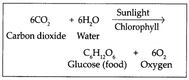 Maharashtra-Board-Class-7-Science-Solutions-Chapter-4-Nutrition-in-Living-Organisms-1