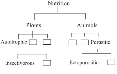 Maharashtra-Board-Class-7-Science-Solutions-Chapter-4-Nutrition-in-Living-Organisms-2