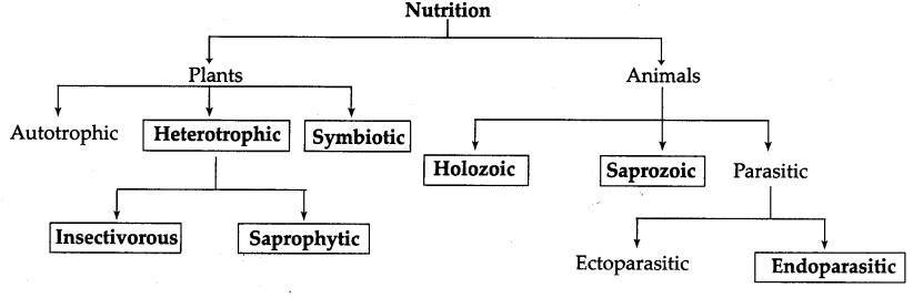 Maharashtra-Board-Class-7-Science-Solutions-Chapter-4-Nutrition-in-Living-Organisms-3