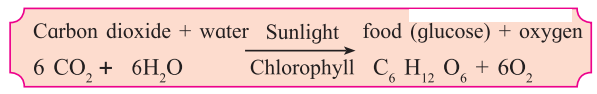 Maharashtra-Board-Class-7-Science-Solutions-Chapter-4-Nutrition-in-Living-Organisms-5