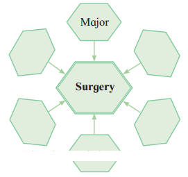 Maharashtra-Board-Class-8-English-Solutions-Chapter-4.2-Revolutionary-Steps-in-Surgery-2