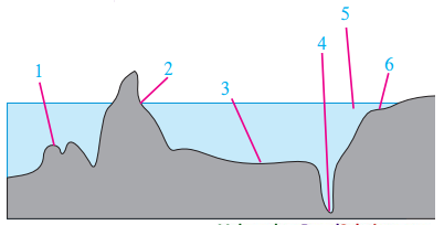 Maharashtra-Board-Class-8-Geography-Solutions-Chapter-4-Structure-of-Ocean-Floor-1