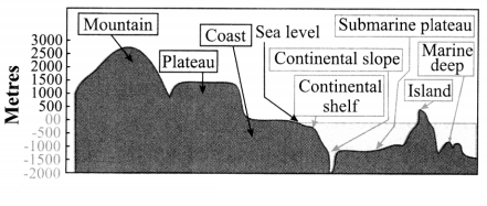 Maharashtra-Board-Class-8-Geography-Solutions-Chapter-4-Structure-of-Ocean-Floor-3