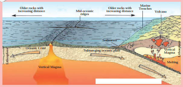 Maharashtra-Board-Class-8-Geography-Solutions-Chapter-4-Structure-of-Ocean-Floor-4