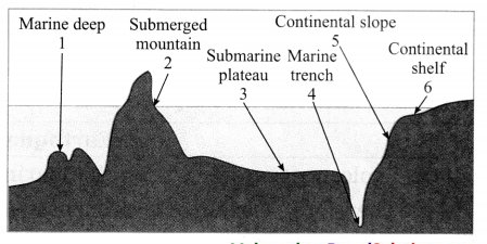 Maharashtra-Board-Class-8-Geography-Solutions-Chapter-4-Structure-of-Ocean-Floor-7