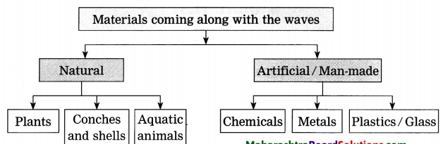 Maharashtra-Board-Class-8-Geography-Solutions-Chapter-4-Structure-of-Ocean-Floor-8
