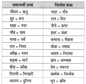 Maharashtra-Board-Class-8-Hindi-Solutions-Chapter-4-गाँव-शहर-9