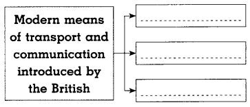 Maharashtra-Board-Class-8-History-Solutions-Chapter-3-Effects-of-British-Rule-10