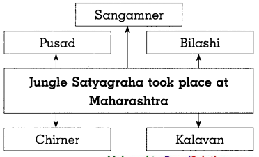 Maharashtra-Board-Class-8-History-Solutions-Chapter-8-Civil-Disobedience-Movement-6