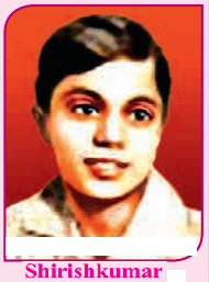 Maharashtra-Board-Class-8-History-Solutions-Chapter-9-Last-Phase-of-Struggle-for-Independence-2