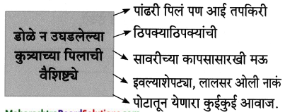 Maharashtra-Board-Class-8-Marathi-Solutions-Chapter-10-आम्ही-हवे-आहोत-का-5