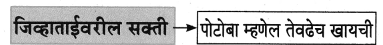 Maharashtra-Board-Class-8-Marathi-Solutions-Chapter-4-आपण-सारे-एक-15