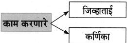 Maharashtra-Board-Class-8-Marathi-Solutions-Chapter-4-आपण-सारे-एक-17