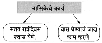 Maharashtra-Board-Class-8-Marathi-Solutions-Chapter-4-आपण-सारे-एक-21