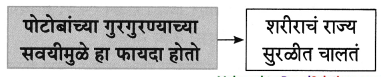 Maharashtra-Board-Class-8-Marathi-Solutions-Chapter-4-आपण-सारे-एक-26