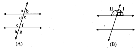 Maharashtra-Board-Class-8-Maths-Solutions-Chapter-2-Parallel-Lines-and-Transversals-Practice-Set-2.2-12