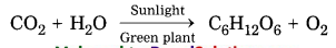 Maharashtra-Board-Class-8-Science-Solutions-Chapter-13-Chemical-Change-and-Chemical-Bond-10