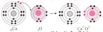 Maharashtra-Board-Class-8-Science-Solutions-Chapter-13-Chemical-Change-and-Chemical-Bond-15