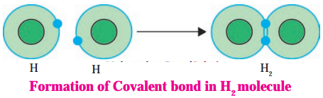 Maharashtra-Board-Class-8-Science-Solutions-Chapter-13-Chemical-Change-and-Chemical-Bond-7