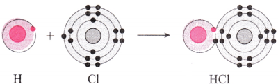 Maharashtra-Board-Class-8-Science-Solutions-Chapter-13-Chemical-Change-and-Chemical-Bond-9