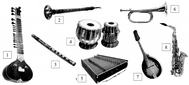 Maharashtra-Board-Class-8-Science-Solutions-Chapter-15-Sound-13