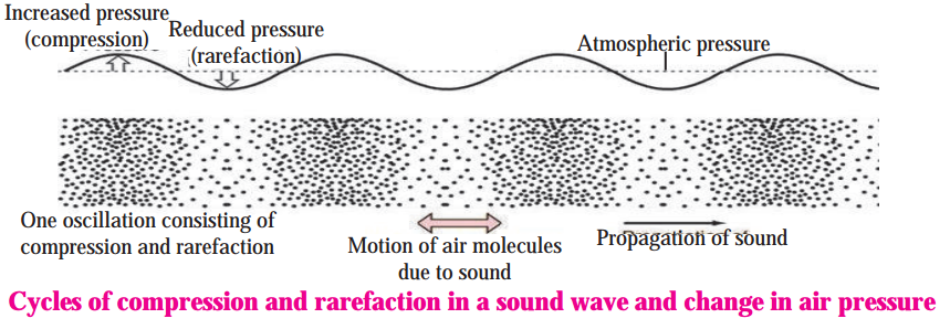 Maharashtra-Board-Class-8-Science-Solutions-Chapter-15-Sound-7