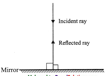 Maharashtra-Board-Class-8-Science-Solutions-Chapter-16-Reflection-of-Light-6