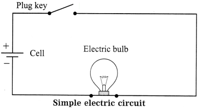 Maharashtra-Board-Class-8-Science-Solutions-Chapter-4-Current-Electricity-and-Magnetism-10