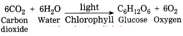 Maharashtra-Board-Class-8-Science-Solutions-Chapter-6-Composition-of-Matter-1
