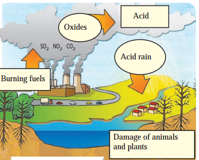 Maharashtra-Board-Class-8-Science-Solutions-Chapter-8-Pollution-1