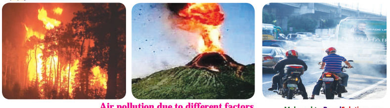 Maharashtra-Board-Class-8-Science-Solutions-Chapter-8-Pollution-3