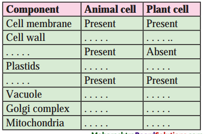Maharashtra-Board-Class-8-Science-Solutions-Chapter-9-Disaster-Management-12