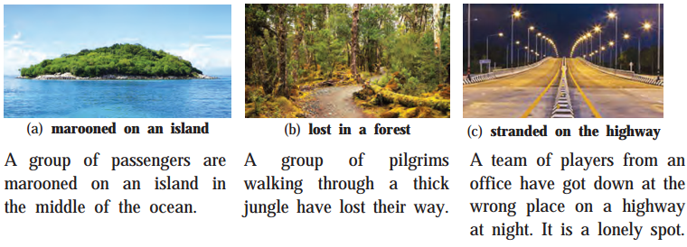 Maharashtra-Board-Class-9-English-Kumarbharati-Solutions-Chapter-1.2-A-Synopsis-The-Swiss-Family-Robinson-2