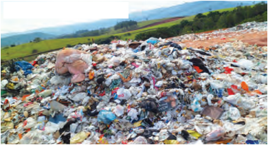 Maharashtra-Board-Class-9-Geography-Solutions-Chapter-10-Urbanisation-Human-3