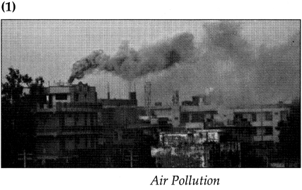 Maharashtra-Board-Class-9-Geography-Solutions-Chapter-10-Urbanisation-Human-6