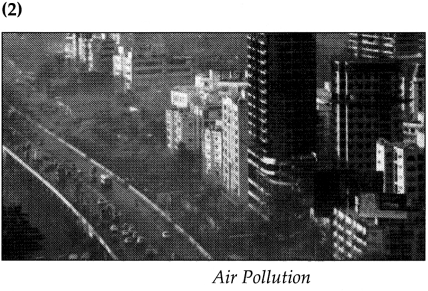 Maharashtra-Board-Class-9-Geography-Solutions-Chapter-10-Urbanisation-Human-7