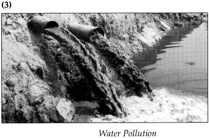 Maharashtra-Board-Class-9-Geography-Solutions-Chapter-10-Urbanisation-Human-8