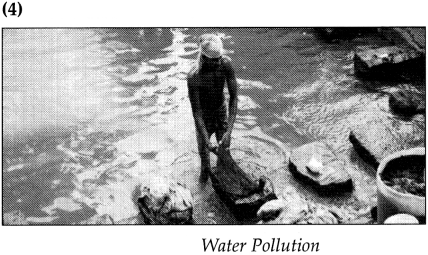 Maharashtra-Board-Class-9-Geography-Solutions-Chapter-10-Urbanisation-Human-9