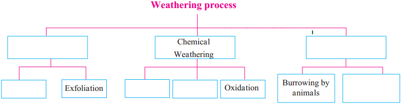 Maharashtra-Board-Class-9-Geography-Solutions-Chapter-3-Exogenetic-Movements-Part-1-1