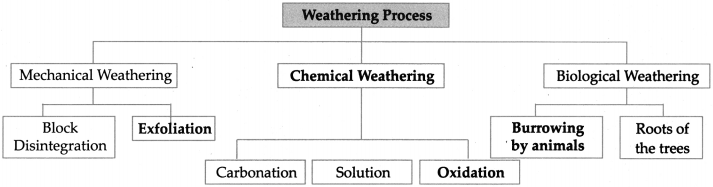 Maharashtra-Board-Class-9-Geography-Solutions-Chapter-3-Exogenetic-Movements-Part-1-2
