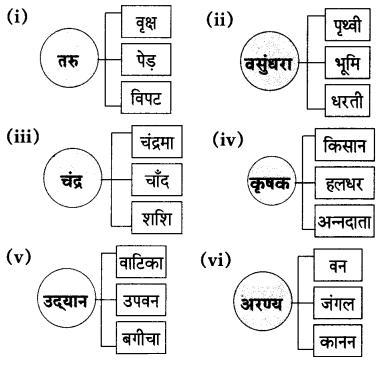 Maharashtra-Board-Class-9-Hindi-Lokbharti-Solutions-Chapter-1-चाँदनी-रात-6