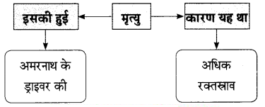 Maharashtra-Board-Class-9-Hindi-Lokbharti-Solutions-Chapter-10-अपराजेय-7