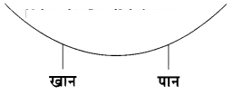 Maharashtra-Board-Class-9-Hindi-Lokbharti-Solutions-Chapter-2-बिल्ली-का-बिलुंगड़ा-5