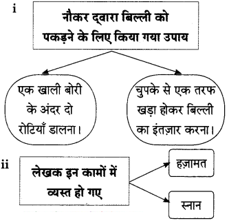 Maharashtra-Board-Class-9-Hindi-Lokbharti-Solutions-Chapter-2-बिल्ली-का-बिलुंगड़ा-6