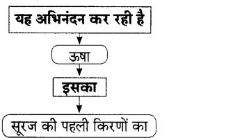 Maharashtra-Board-Class-9-Hindi-Lokbharti-Solutions-Chapter-6-निसर्ग-वैभव-12
